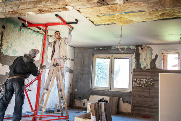 Best DIY Insulation Kits and Guidance in Newark, IL